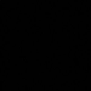 Meet your Posher, Levi